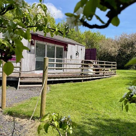 Purple Cargopod At Lee Wick Farm Cottages & Glamping Clacton-on-Sea Exterior photo