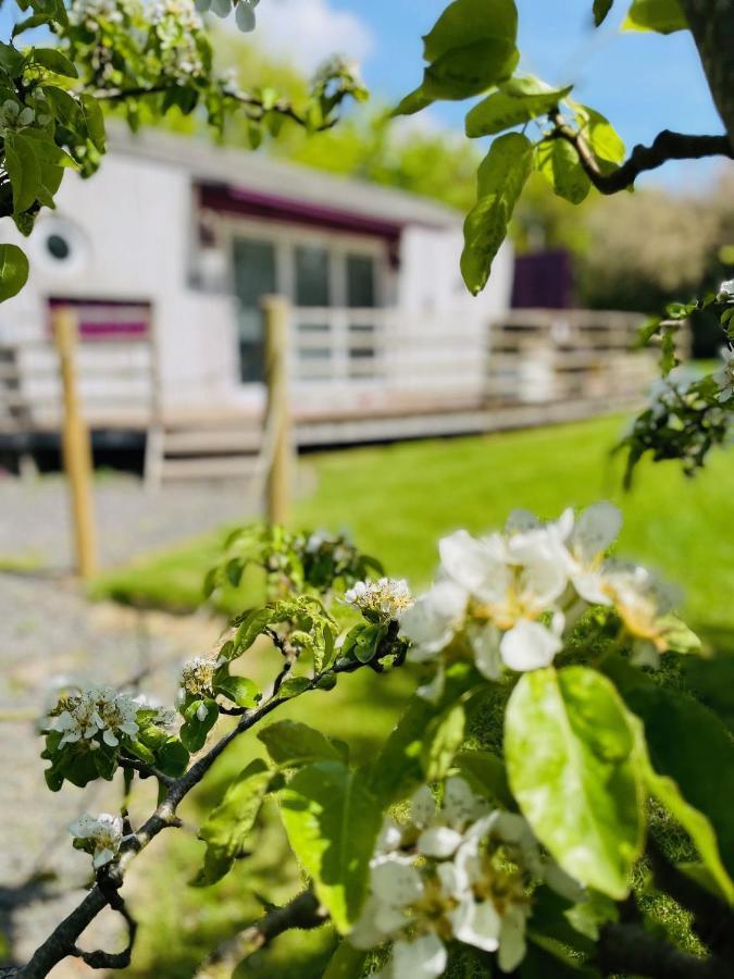 Purple Cargopod At Lee Wick Farm Cottages & Glamping Clacton-on-Sea Exterior photo